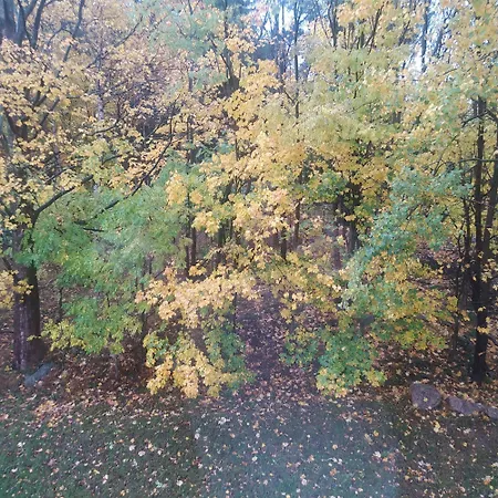 Apartamento Na Malej