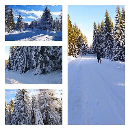 Apartamento Na Malej *